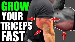 Brutally Big Triceps FAST #fitness #workout
