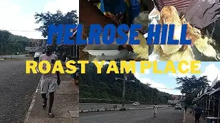 MELROSE HILL| MANCHESTER| JAMAICA| JAMAICAN STREET FOOD| ROAST YAM POTATO BREADFRIUT SALTFISH 😀