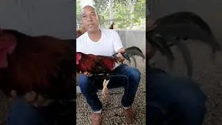 Entrevista a Danny P&aacute;ez