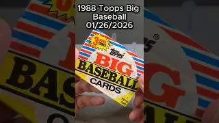 В поисках молодого участника группы The Bash Brothers, коллекционная карточка Topps Big 1988 года...