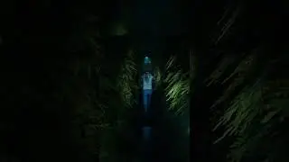 Playing With A Psychic - Labyrinthine