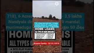 Acre 3 lakhs 50 thousand only #agriculture #farmlandforsale #nandyal #kurnool#land #mangofarmforsale