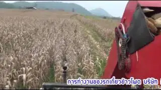 เครื่องเกี่ยวข้าวโพด กิจวานิช (2535) 3แถว ปอกเปลือก ติดรถไถ