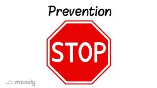 The Widowmaker Heart Attack: Description and Prevention