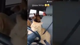 Manejando