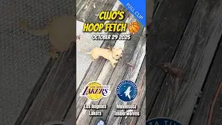 Cujo&rsquo;s Hoop Fetch | Los Angeles Lakers vs Minnesota Timberwolves 🐕 NBA Prediction