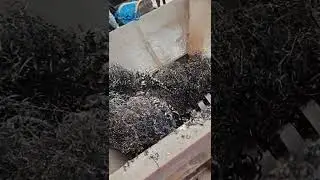 Metal chip shredder crushes metal