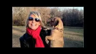 KC Parks: Swope Park Off Leash Dog Park