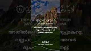 @QuranVisualization