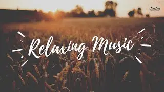 Relaxing Music | Rice field sunset background