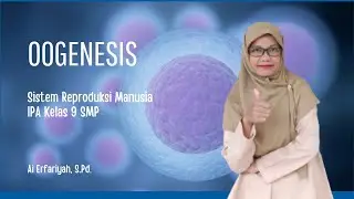 OOGENESIS || Proses Pembentukan Sel Telur (Ovum)