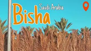 سد الملك فهد بيشة