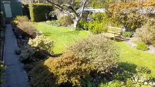 Aberdeen Garden, 10th April 2025