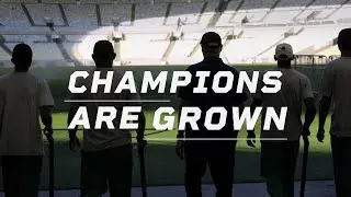 Champions are Grown | A Higher Standard Inspired By Sports Turf Pros