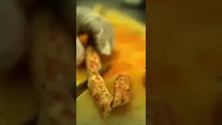 But to do everything in life.💔chief life #chefsofindia #cooking #chef  #hotal #viralvideo