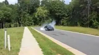 GTO Burnout Updated