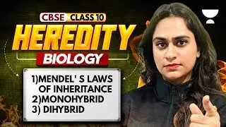 Heredity and Evolution Chapter 8 In ONE SHOT | Class 10 Science | Most Important Topics Covered