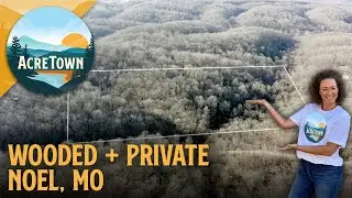 Missouri Land For Sale Cheap | 10 Acres In The Ozarks | Wooded + Private