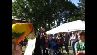 Chris Biro flying Sun Conures fund raising