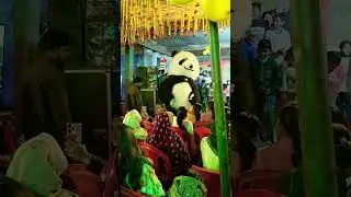 свадебная фотосессия с танцем панды 🐼 #shortsfeed #youtubeshorts #panda #ytshorts