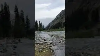 ushoo forest kalaam pakistan