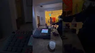 Back Vgain Prod by Professor Knox