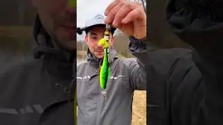 Мандула ловит не только рыбу #рыбалка #спиннинг