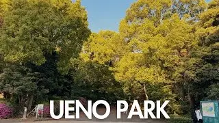 2 minutes guide to my favourite tokyo park