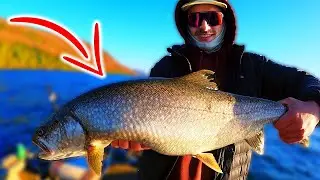 Ouverture 2024 Dindon et Touladi (Memphr&eacute;magog)