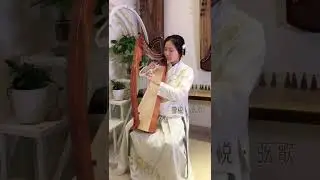Walter 19 string harp