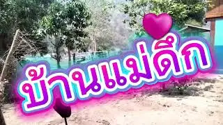 ပှ့ၤတၢ်ဖိတၢ်လံၤလၢကသူၣ်ထီၣ်တၢ်ထုးကဖၣ်ဒၢးလၢမဲဒုးထၣ်(သ/ရမုၢ်နီလူၥ်)