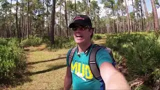 Olustee Battlefield Historic State Park