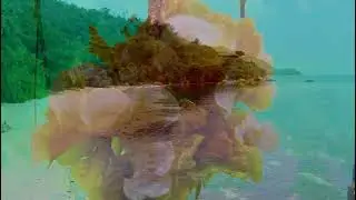 Seychelles 2024 - Honeymoon