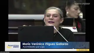 Asamble&iacute;sta Ver&oacute;nica I&ntilde;iguez - Sesi&oacute;n 051