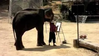 Elephant Painting in Thailand: Greg's Mouth