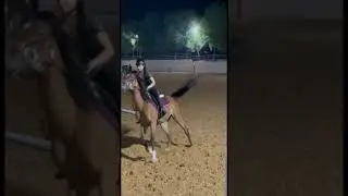 Small buck 😒 #small #bucking #horse #equestrian #spicy #shorts #blowup