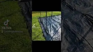Gardening 101:  Our lazy grow garden setup from HOSS | Fall Gardening in zone 8a/b