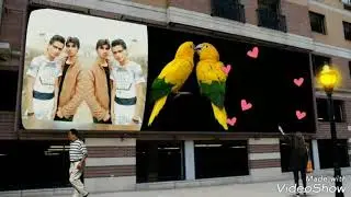 Syreal nbr 9494 mewati song