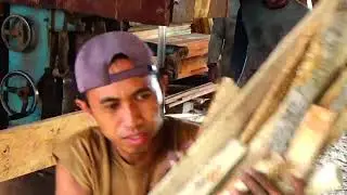 Penggergajian papan kayu damar | sawmil indonesia