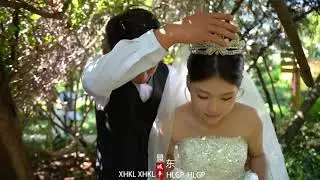 董报婚礼#原创视频 #婚礼现场 #纪实婚礼摄影