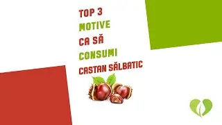 Top 3 Motive ca sa consumi Castan Salbatic