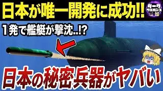 【ゆっくり解説】世界で日本が唯一開発に成功した兵器『酸素魚雷』