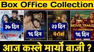 Jaari 2 & Man Binako Dhan Box Office Collection, Paran & Jerry On Top Box Office Collection,