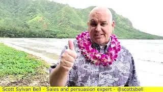 Why sales meetings suck - The 80/20 sales rule prophesies (8 of 10) Scott Sylvan Bell
