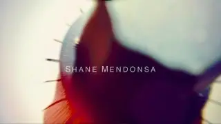 Shane Mendonsa