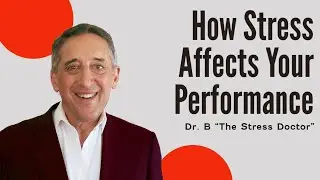 How Stress Affects Your Performance