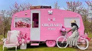 Perth Hills Paradise: S&R Orchard's Treasures #perth #perth #perthcbd #australia #perthlife #perthwa