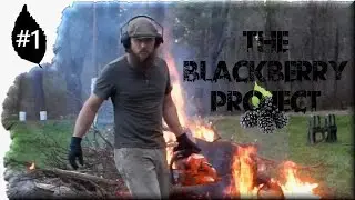 The Blackberry project ~ Home Sweet Homestead