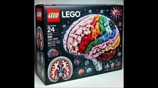 Lego sets of different scientific #lego #legotiktok #legoset# #science #anatomy  #humanbody