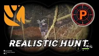 Realistic Hunt With a Bow in a Tree Stand!